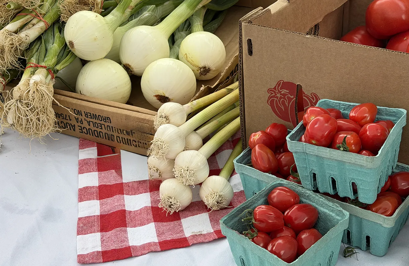 tomatoes and onions